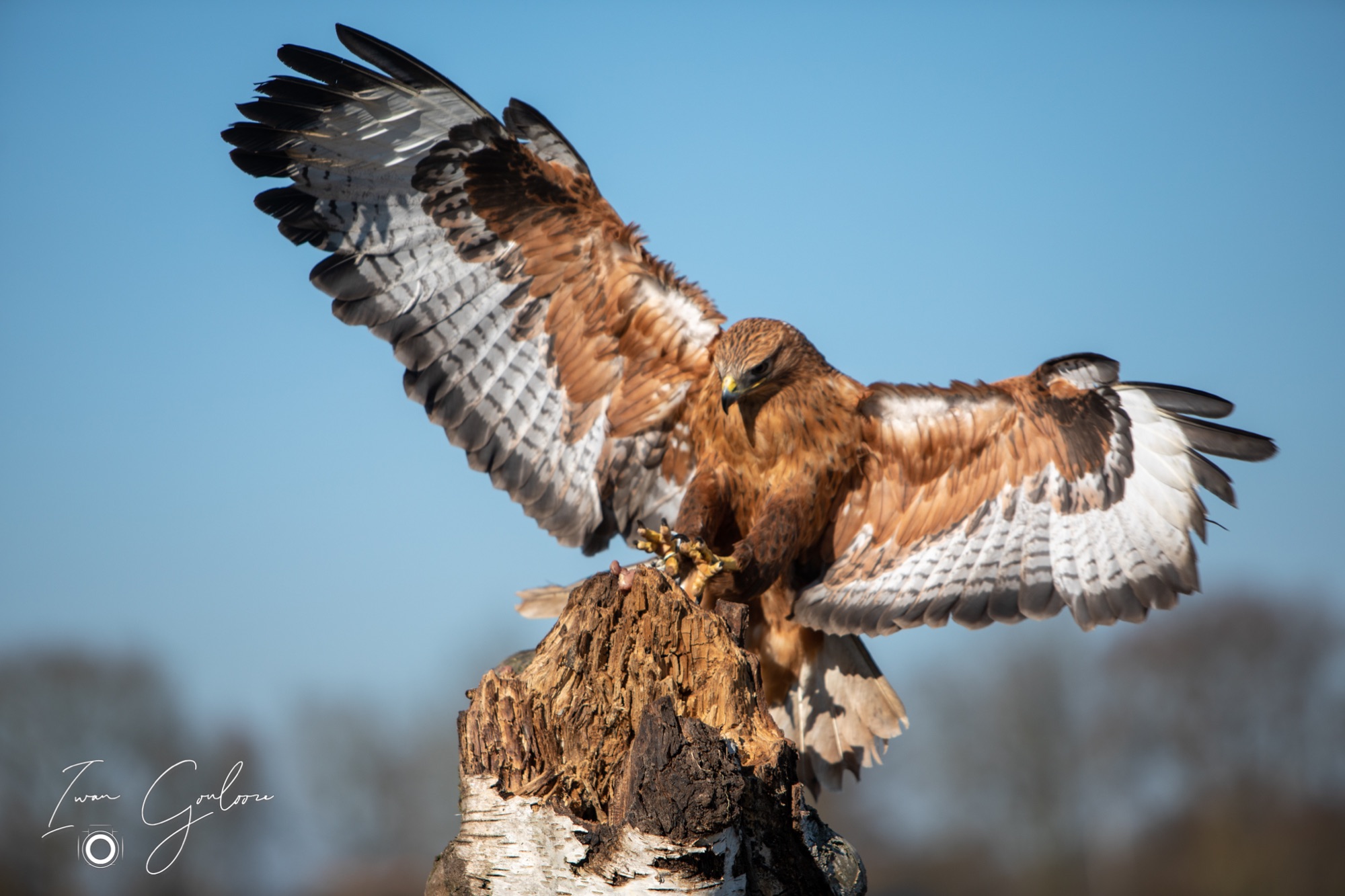 04 maart 2022 150544  5D44072